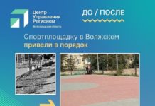 Эффект налицо: на госпасблики в Волгоградской области подписались 3, 4 миллиона человек