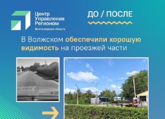 На госпасблики в Волгоградской области подписались 3,4 миллиона человек