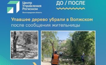 Цифровые площадки органов власти Волгоградской области поддержали почти 4 миллиона подписчиков