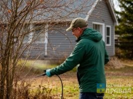 «Расскажи о своей фазенде»: в Волжском стартовал конкурс для дачников