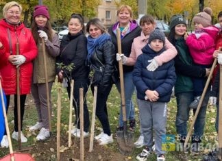 «День единых действий»: в Волжском 2 ноября проведут общегородской субботник