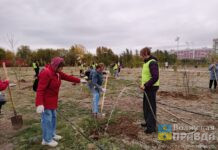 В Волжском прошел День единых действий