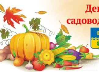 На Дне садовода в Волжском выступит участник телепередачи «Играй, гармонь любимая!»