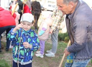В детсадовской экологической акции в Волжском участвовали даже трехлетки