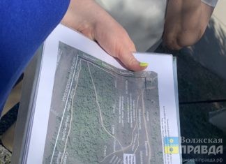 Чайный домик и пруд с водопадом: В Волжском завершается проектирование Детского ботсада