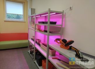 Дети-инвалиды в Волжском смогут пройти реабилитацию по сертификату с 2027 года