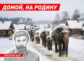 Домой, на родину. Почему слон так важен для русского человека