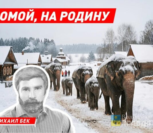 Домой, на родину. Почему слон так важен для русского человека