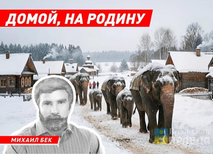 домой