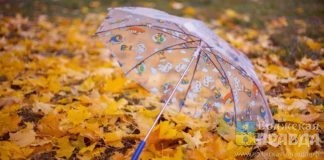 дождь зонт осень