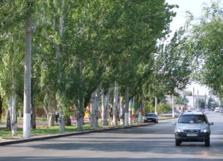 В Волжском готовятся к осеннему озеленению
