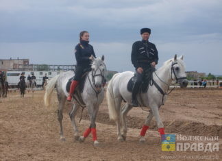 В Волжском прошёл Константиновский фестиваль