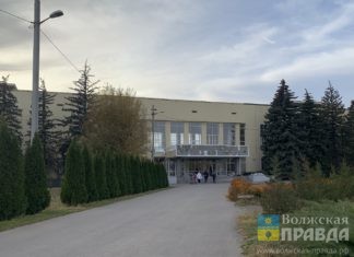В Волжском объявлен конкурс на создание эмблемы Детского ботанического сада