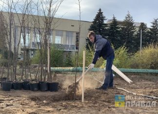 В Волжском завершился месячник по благоустройству 2019