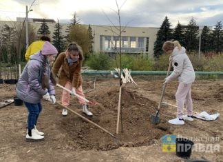 Волжане готовятся к месячнику по благоустройству
