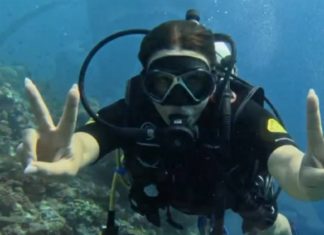 Акваланг и рыба Триггер: волгоградка Ирина Дубцова рассказала о дайвинге в Индийском океане