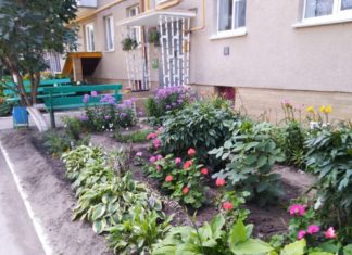 Волжане могут принять участие в конкурсе на самый лучший двор и дружный дом