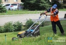 В Волжском покосят траву на 2 миллиона рублей