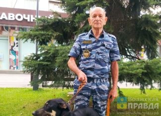 «Спасибо, что спасли моего Джека»: волжанин Юрий Никифоров рассказал о чудесном исцелении своей собаки