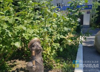 Суслик с поднятым жезлом появился в розах у Госавтоинспекции Волжского