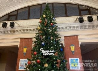 новогодняя елка