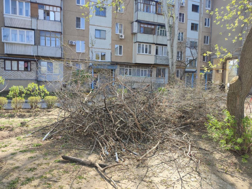 Волжане кричали об упавшем тортике, «глухой управляйке» и уколах от  столбняка | Новости Волжского - Волжская правда