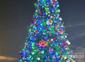 Волжскую зелёную красавицу признали лучшей в области