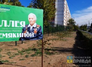 В волжском лицее № 1 открыли аллею в честь ветерана войны и труда Александры Лемякиной