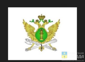В Волгоградской области возобновили «банкротные» и «взыскательные» производства в отношении юрлиц и ИП