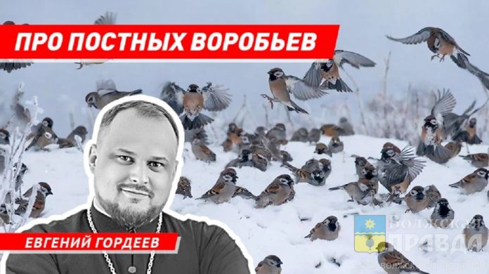 Гордеев 2026-4