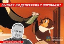 Волжский священник задался вопросом, бывает ли депрессия у воробьев