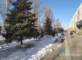 погода зимой