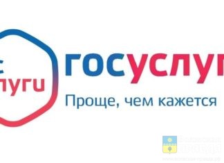 На Едином портале волжане могут получить 85 социально значимых услуг