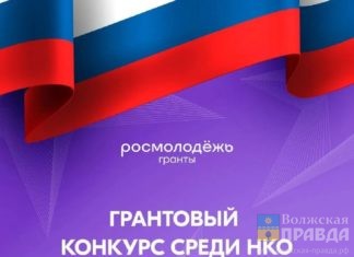 Волжане могут принять участие в грантовом конкурсе Росмолодежи по патриотическому воспитанию