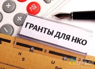 Качество жизни молодежи с инвалидностью: волжане могут представить свои проекты на конкурсе грантов