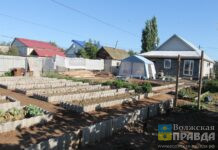 Дачникам из Волгоградской области рассказали, как защитить свой участок от воров