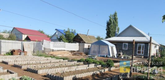 Дачникам из Волгоградской области рассказали, как защитить свой участок от воров