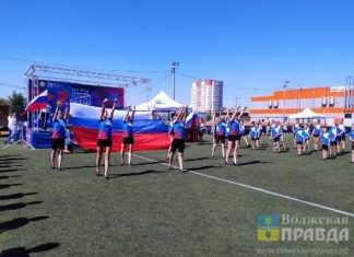 Готовы к труду и обороне : в Волжском прошел региональный фестиваль «Игры ГТО»