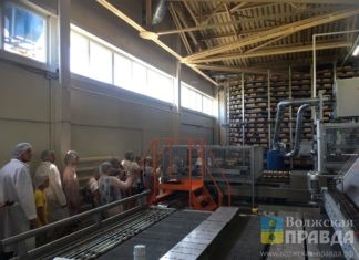 В Волжском промышленные туристы на экскурсии попробовали хлеб и посмотрели на опыты
