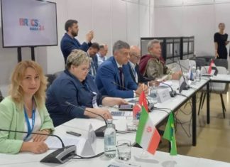 Волжский представил опыт развития культурных пространств на международном форуме БРИКС