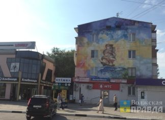 Волжане говорили про одинокую бабушку, «питейный» киоск и парализованного котенка