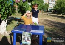 Волжане еще могут успеть проголосовать за объекты благоустройства-2027