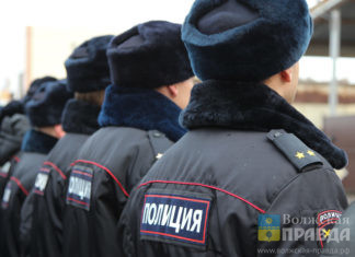 Волжские полицейские отмечают профессиональный праздник