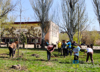 Красоту надо делать своими руками: волжане провели субботник в сквере имени Бурназяна