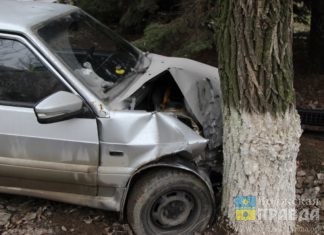 Молодая волжанка, уходя от столкновения с пешеходом, чуть не снесла дерево