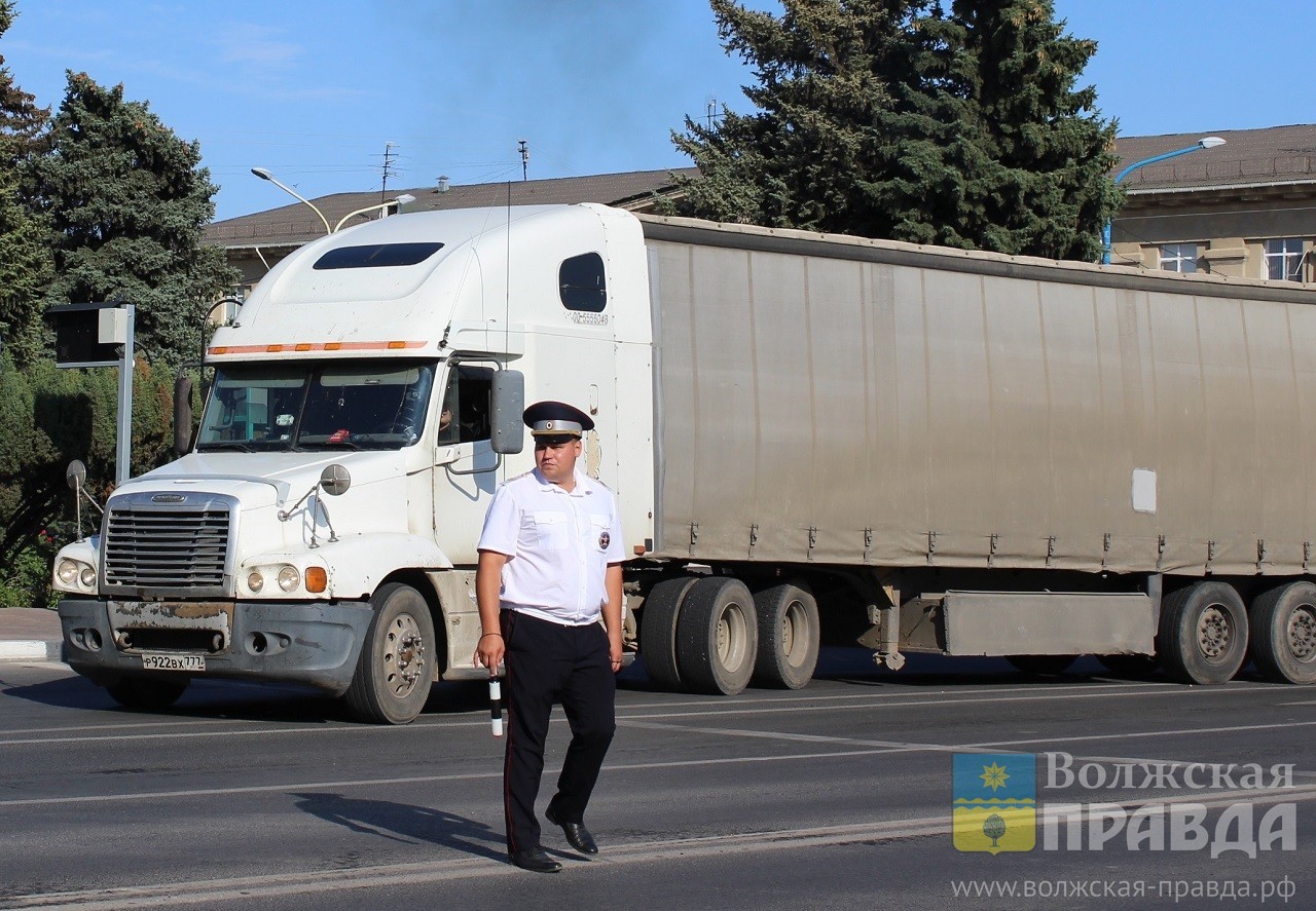 300 фур-нарушителей задержано в Волжском в 2024 году | Новости Волжского -  Волжская правда