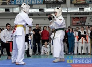 Каратисты Волгоградской области приняли участие в турнире, посвящённом Дню героев Отечества