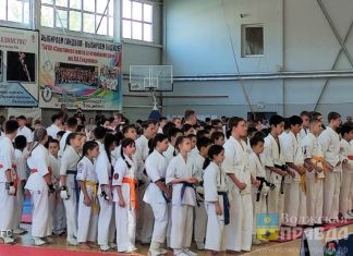 Волжские каратисты вернулись с медалями с крупного турнира