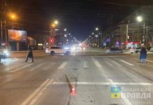 Уволят по «отрицалову»: кинолог ЛУ МВД Волгоградской области сбил парня и скрылся