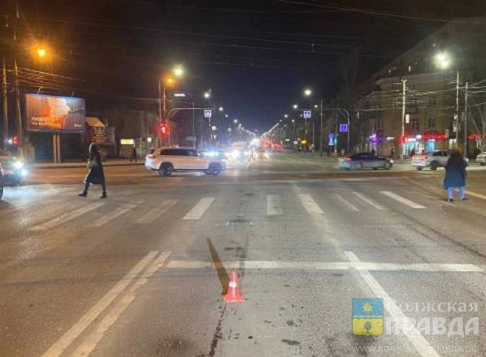 ДТП Кинолог